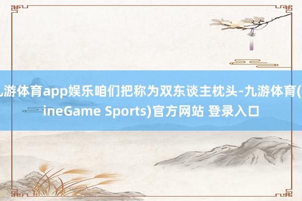 九游体育app娱乐咱们把称为双东谈主枕头-九游体育(NineGame Sports)官方网站 登录入口